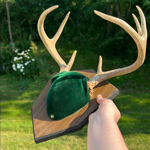 Vintage 8 Point Whitetail Deer Buck Antlers Green Velvet Wall Mount Plaque - Picture 3 of 12
